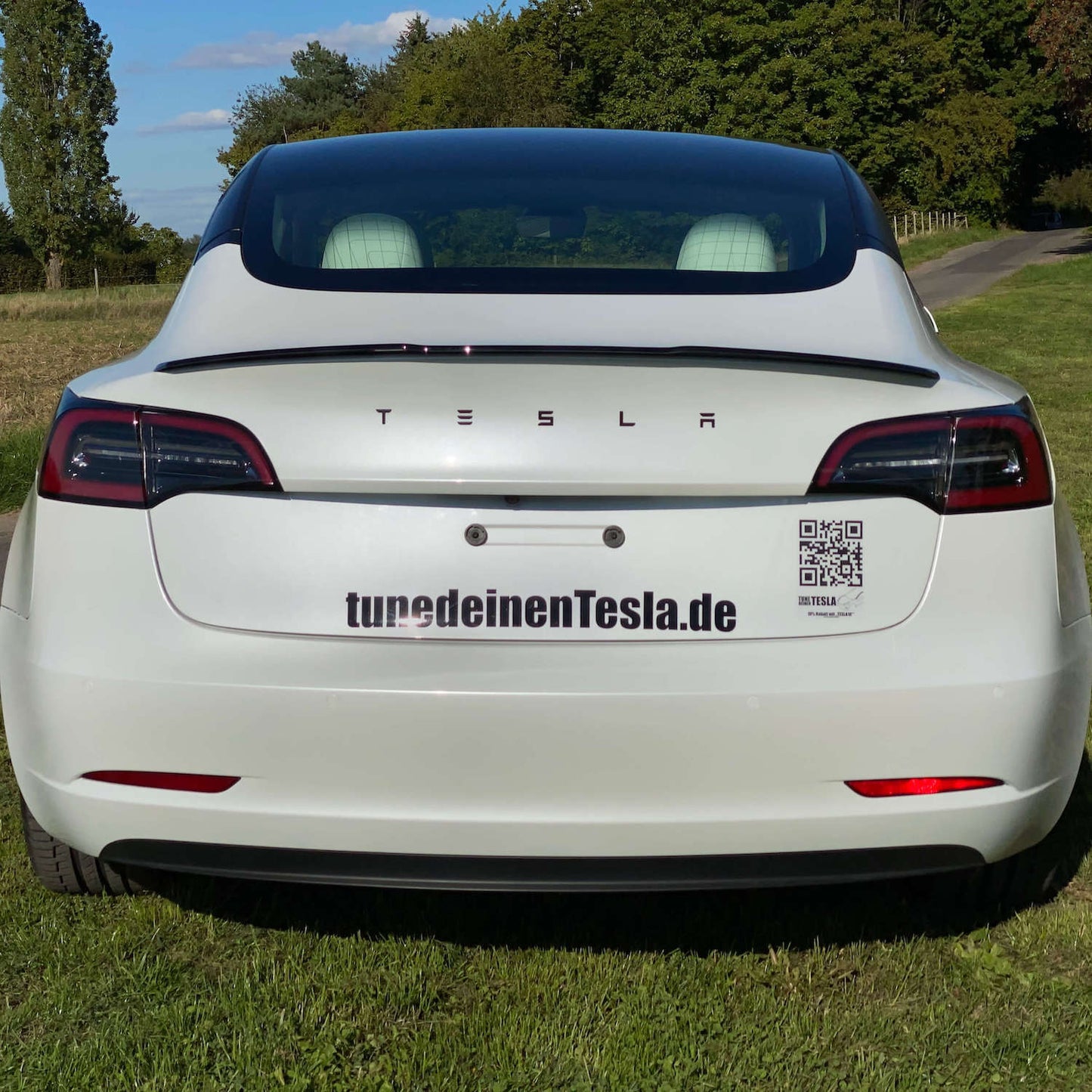 Tesla zubehör, model 3 zubehör, Tesla model 3 Zubehör, model 3 Heckspoiler, tesla model 3 heckspoiler