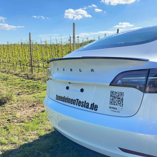 TESLA-Schriftzug - tunedeinenTesla